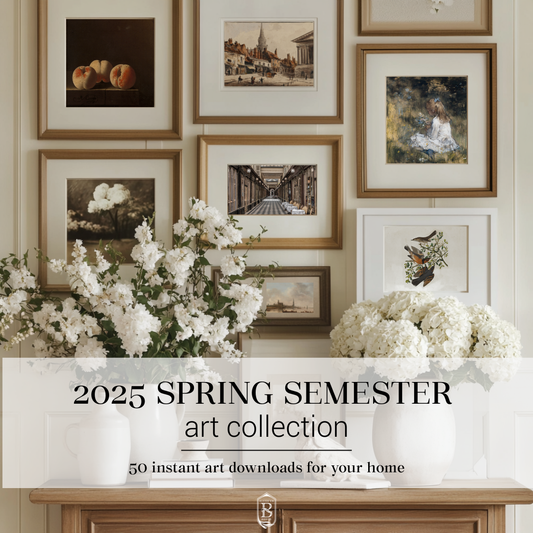 2025 Spring Semester Art Collection (50 Art Images)